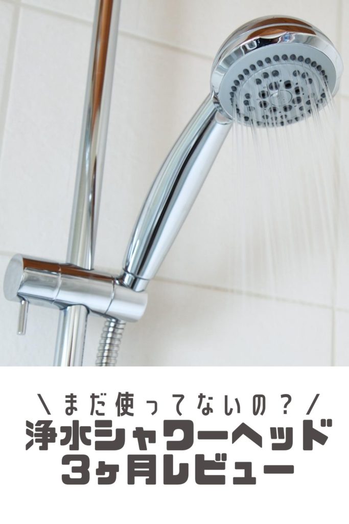 アメリカで塩素除去シャワーヘッドを3ヶ月使った効果をレビュー カモブログ